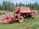 Leikkuupuimurit-Massey Ferguson