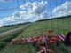 Hay and forage machines-Kuhn