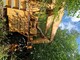 Load Handling-AEC