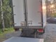 Trucks-Volvo