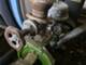 Plant protection and irrigating-OCMIS