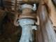 Plant protection and irrigating-OCMIS