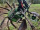Root crop machinery-Ålö