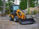 Loaders-Muu merkki
