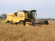 Combine harvesters-New Holland