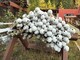 Drilling equipment-Muu merkki