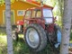 Tractors-Massey Ferguson