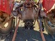 Traktorit-Massey Ferguson