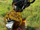 Backhoe loaders-Yanmar
