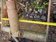 Equipment and spare parts for forest machinery-Muu merkki