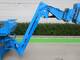 Telescopic handlers-Aichi