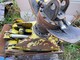 Accessories-Loglift