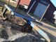 Sowing and planting machines-Nordstein