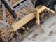 Sowing and planting machines-Nordstein