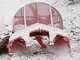 Road and snow machines-Kunto