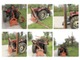Hay and forage machines-Muu merkki
