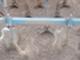 Tillage machines-Lemken