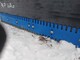 Road and snow machines-Padagas