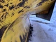 Road and snow machines-Muu merkki