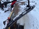 Road and snow machines-Muu merkki