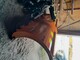 Road and snow machines-FMG