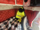 Tractor Units-Volvo